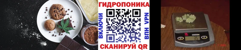 это наркотические препараты Светлогорск Еда ТГК марихуана где продают наркотики